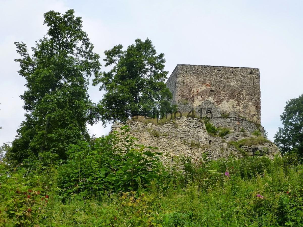 Riviera Lipno 415 Daire Lipno nad Vltavou Dış mekan fotoğraf