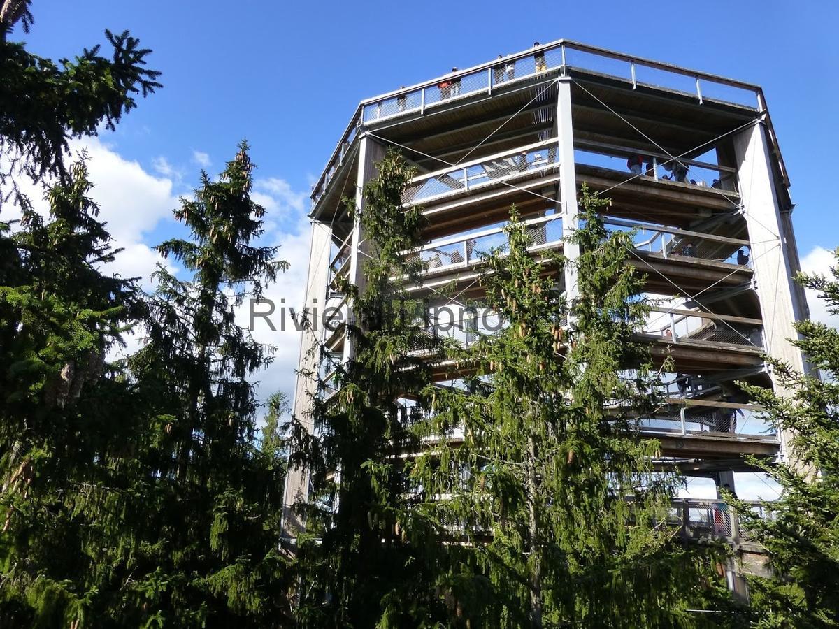 Riviera Lipno 415 Daire Lipno nad Vltavou Dış mekan fotoğraf