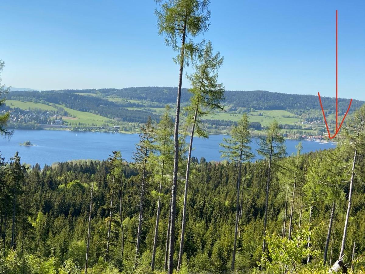 Riviera Lipno 415 Daire Lipno nad Vltavou Dış mekan fotoğraf
